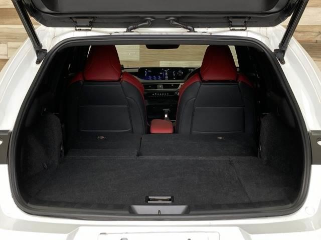 UX UX250h Fスポーツ 純正ナビ/全周囲モニター/レーダークルーズコントロール/三眼LEDヘッドライト/赤革シート/ブラインドスポットモニター/ヘッドアップディスプレイ/電動リアゲート/シートヒーター/ビルトインETC(14枚目)