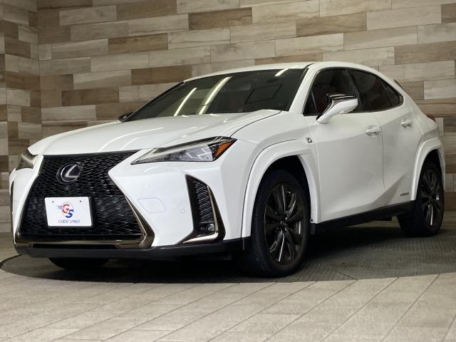 UX UX250h Fスポーツ 純正ナビ/全周囲モニター/レーダークルーズコントロール/三眼LEDヘッドライト/赤革シート/ブラインドスポットモニター/ヘッドアップディスプレイ/電動リアゲート/シートヒーター/ビルトインETC(23枚目)