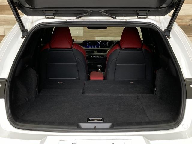 UX UX250h Fスポーツ 純正ナビ/全周囲モニター/レーダークルーズコントロール/三眼LEDヘッドライト/赤革シート/ブラインドスポットモニター/ヘッドアップディスプレイ/電動リアゲート/シートヒーター/ビルトインETC(42枚目)