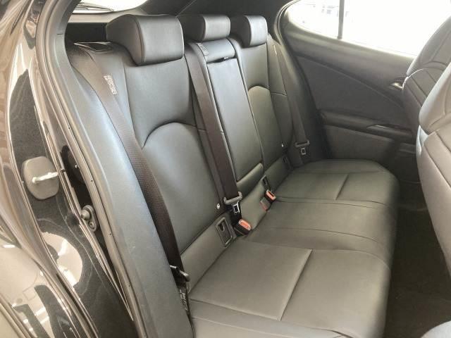 UX UX250h Fスポーツ 純正ナビ/全周囲モニター/三眼LED/サンルーフ/AC100V/電動リアゲート/レーダークルーズコントロール/ヘッドアップディスプレイ/ブラインドスポットモニター/ブラックレザーシート/シートメモリ(13枚目)