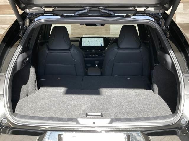 UX UX250h Fスポーツ 純正ナビ/全周囲モニター/三眼LED/サンルーフ/AC100V/電動リアゲート/レーダークルーズコントロール/ヘッドアップディスプレイ/ブラインドスポットモニター/ブラックレザーシート/シートメモリ(14枚目)