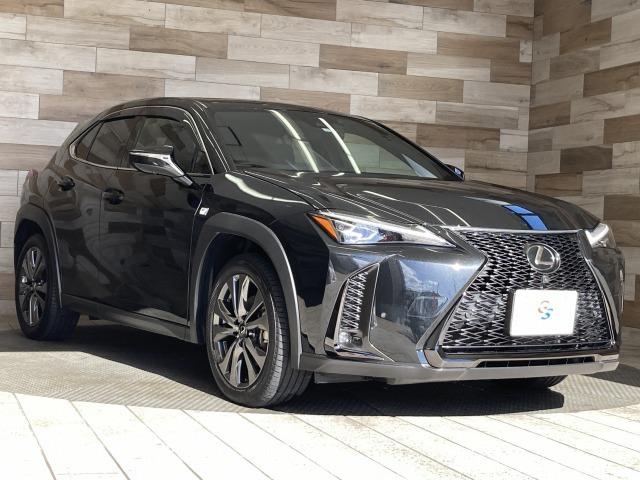 UX UX250h Fスポーツ 純正ナビ/全周囲モニター/三眼LED/サンルーフ/AC100V/電動リアゲート/レーダークルーズコントロール/ヘッドアップディスプレイ/ブラインドスポットモニター/ブラックレザーシート/シートメモリ(29枚目)