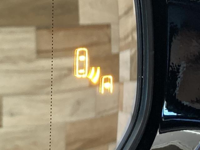 UX UX250h Fスポーツ 純正ナビ/全周囲モニター/三眼LED/サンルーフ/AC100V/電動リアゲート/レーダークルーズコントロール/ヘッドアップディスプレイ/ブラインドスポットモニター/ブラックレザーシート/シートメモリ(54枚目)