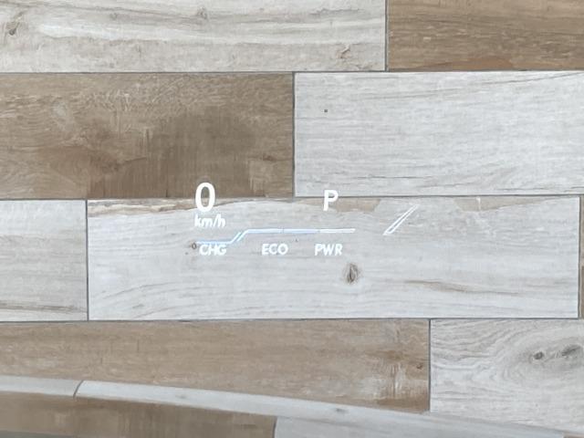 UX UX250h Fスポーツ 純正ナビ/全周囲モニター/三眼LED/サンルーフ/AC100V/電動リアゲート/レーダークルーズコントロール/ヘッドアップディスプレイ/ブラインドスポットモニター/ブラックレザーシート/シートメモリ(57枚目)