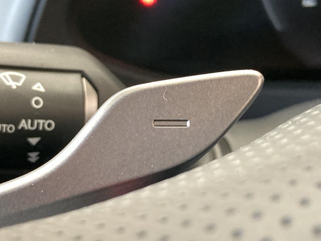 UX UX250h Fスポーツ 純正ナビ/全周囲モニター/三眼LED/サンルーフ/AC100V/電動リアゲート/レーダークルーズコントロール/ヘッドアップディスプレイ/ブラインドスポットモニター/ブラックレザーシート/シートメモリ(64枚目)