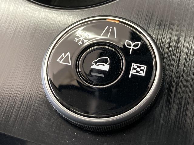 エクストレイル Ｇ　ｅ－４ＯＲＣＥ　純正ナビ／全周囲モニター／パノラマルーフ／ＢＯＳＥサウンドシステム／プロパイロット／デジタルインナーミラー／ブラインドスポットモニター／電動リアゲート／シートヒーター／パワーシート／ワイヤレス充電（80枚目）