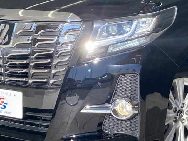 �y�k�d�c�w�b�h���C�g�z�͎��F�����������S�ł��I�܂��A�����ڂ������������ł��I