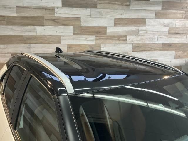 ���[�t���[�����ځI