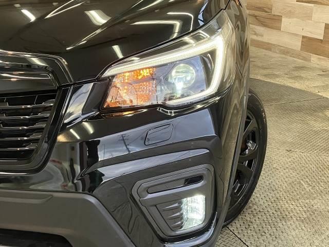 �y�k�d�c�w�b�h���C�g�z�͎��F�����������S�ł��I�܂��A�����ڂ������������ł��I