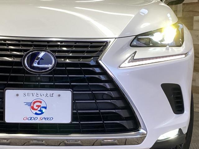 NX NX300h バージョンL 純正ナビ/全周囲/サンルーフ/赤革/BSM/ETC(32枚目)