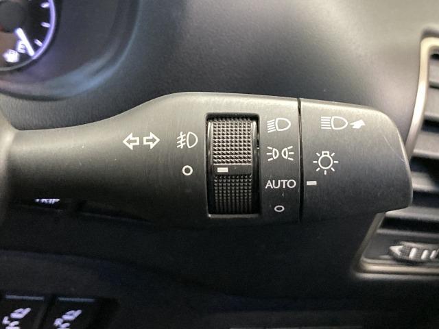 NX NX300h バージョンL 純正ナビ/全周囲/サンルーフ/赤革/BSM/ETC(56枚目)