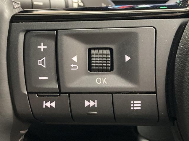 エクストレイル Ｇ　ｅ－４ＯＲＣＥ　純正ナビ／全周囲／プロパイロット／電動リア（59枚目）