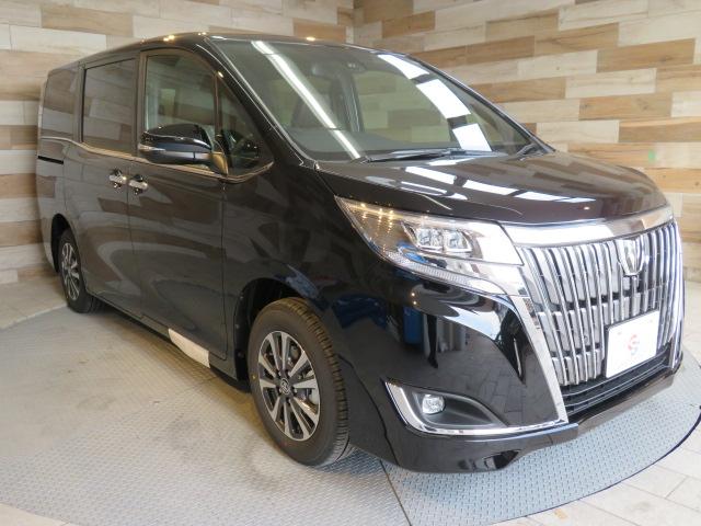 Gi プレミアムPKG 新11型BIG-X 10型天吊モニタ(13枚目)