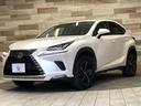 NX300h バージョンL 純正ナビ/全周囲/サンルーフ/赤革/BSM/ETC(23枚目)