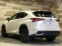 NX300h バージョンL 純正ナビ/全周囲/サンルーフ/赤革/BSM/ETC(25枚目)
