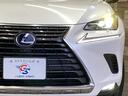 NX300h バージョンL 純正ナビ/全周囲/サンルーフ/赤革/BSM/ETC(32枚目)