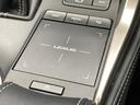NX300h バージョンL 純正ナビ/全周囲/サンルーフ/赤革/BSM/ETC(79枚目)