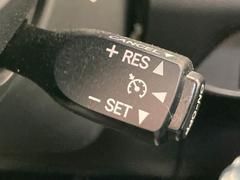 ڥ롼ȥ۹®ԻĹΥɥ饤֤ϫڸƤޤ 6