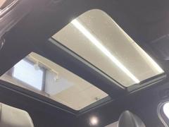 �ڥ���롼�աۥ��ץ����������緿����롼�դ���������������뤯����Ū�ˤʤꡢ�͵��Υ��ץ����Ǥ����ޤ�����躺��ˤ�ץ饹����ޤ��ΤǾ�괹�����ˤ⥻���륹�ݥ���Ȥˤʤ�ޤ��� 6