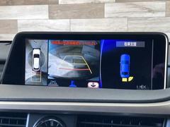 �ڥѥΥ�ߥå��ӥ塼��˥����ۤ��������Ƥ���ޤ��������ϥ����Ǵ������Ρ�������־�Ǥ�¿�������֤Ǥ��ޤ��͡� 5