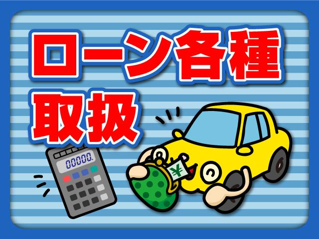 ローブ　車検整備付き　５速ミッション　ナビ　ＴＶ　Ｂｌｕｅｔｏｏｔｈバックカメラ　ＤＶＤ　シートヒーター　ＥＴＣ　スマートキー　プッシュスイッチ(45枚目)