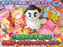 Ｇ　ＳＳパッケージ（33枚目）