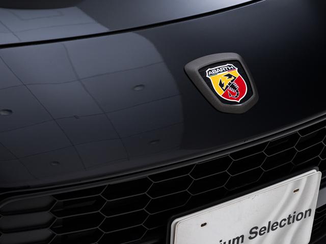 アバルト124 スパイダー 1イヤーアニバーサリー 保証付 50台限定車 専用RECAROレザーシート ナビゲーションパッケージ アダプティブ機能付きフルLEDヘッドライト ヘッドライトウォッシャー CD/DVDプレイヤー 地デジTV バックカメラ(36枚目)
