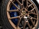 　世界限定１４９９台　ステラート　アドペルソナムカラー　カーボンツイルパック　アルカンターラインテリア　マットブラックチタンテール　リアビューカメラ　パーキングセンサー　クルーズコントロール　保証付（20枚目）