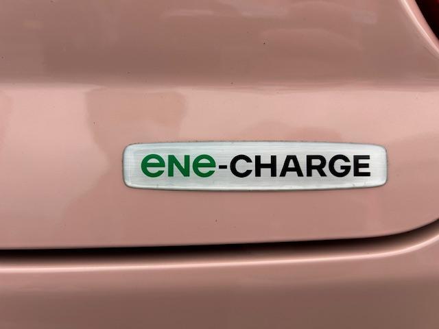 ���J�[�i�r�E�d�s�b�E�o�b�N�J�����E�h���C�u���R�[�_�[���̃I�v�V�����̎�t������܂������w���̍ۂ͂����k�������I