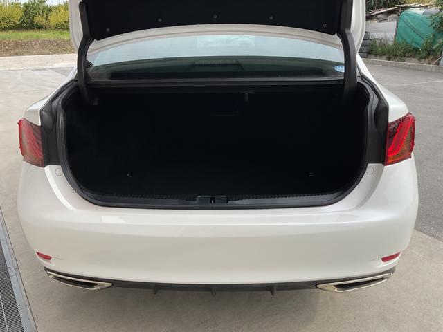 ＧＳ ＧＳ２５０　Ｉパッケージ（16枚目）