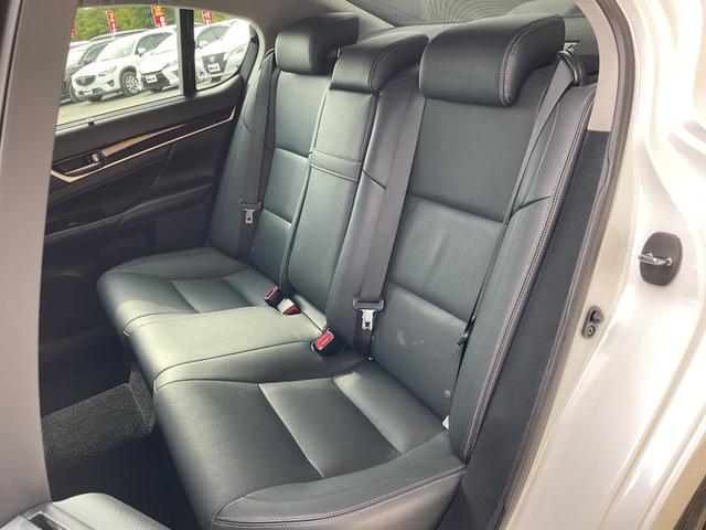 ＧＳ ＧＳ２５０　Ｉパッケージ（18枚目）