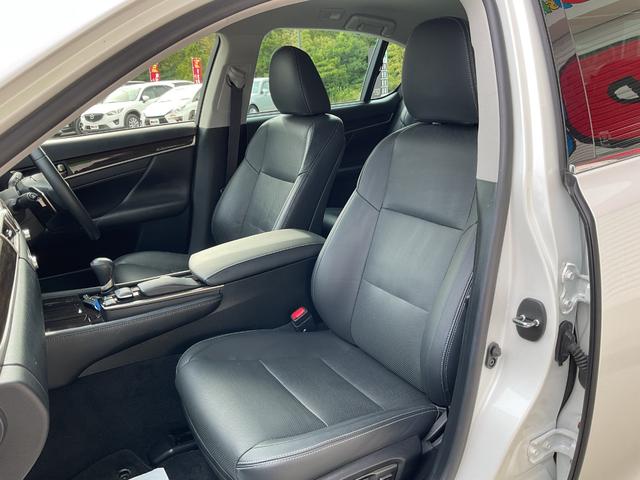 ＧＳ ＧＳ２５０　Ｉパッケージ（20枚目）