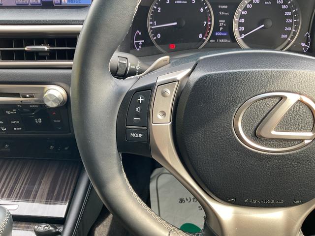 ＧＳ ＧＳ２５０　Ｉパッケージ（29枚目）