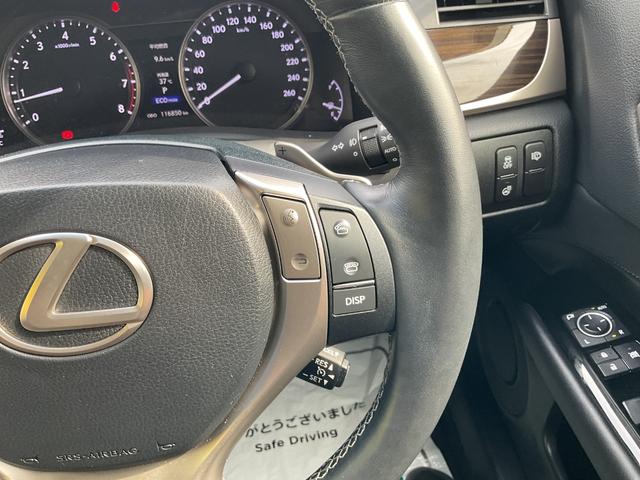 ＧＳ ＧＳ２５０　Ｉパッケージ（30枚目）