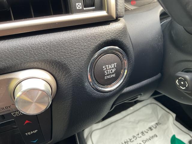 ＧＳ ＧＳ２５０　Ｉパッケージ（31枚目）