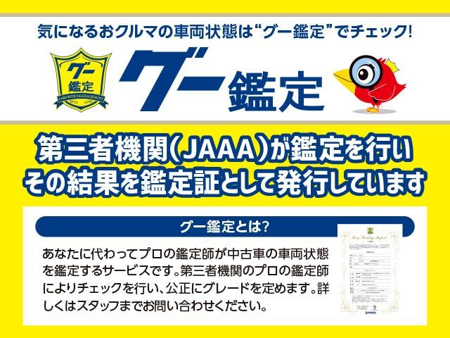 ８６ ＧＴ　ＥＴＣ／スマートキー／イモビライザー／オートエアコン／オートライト／ＡＢＳ／横滑り防止装置／電動格納ミラー／プライバシーガラス（45枚目）