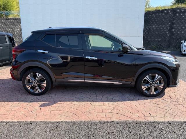 ���[�h�X�^�[�E�A�N�A�E�R�y���E�G�u���B�E�X�e�b�v���S���E�r�U�U�O�E�Z���i�E�n�X���[���l�C�Ԏ�����X���ג��B