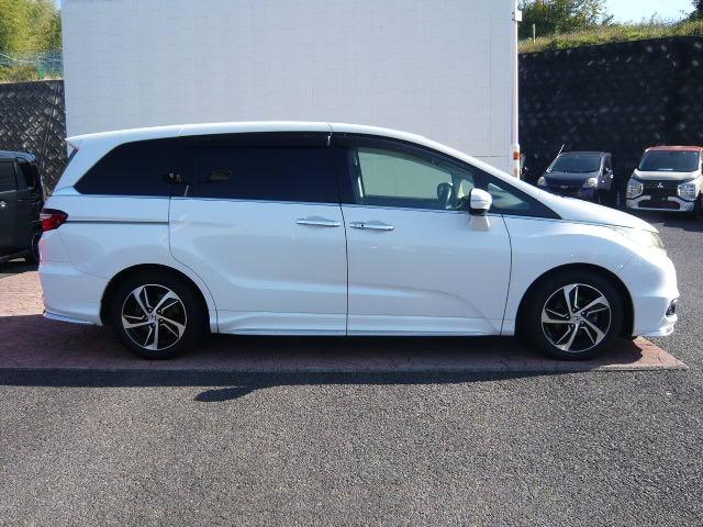 ���[�h�X�^�[�E�A�N�A�E�R�y���E�G�u���B�E�X�e�b�v���S���E�r�U�U�O�E�Z���i�E�n�X���[���l�C�Ԏ�����X���ג��B