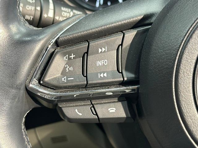 ＣＸ－８ ＸＤ　Ｌパッケージ　全周囲　シートＨ／Ｃ　シートメモリ　ＨＵＤ　パワーテールゲート　エアバック　盗難防止　デュアルエアコン　本革　ＬＥＤヘッド　パワーシート　シートヒーター　３列シート　オートクルーズ　ＥＴＣ付（50枚目）