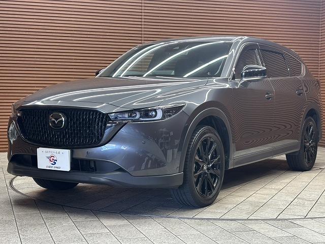 ＣＸ－８ ２５Ｓ　ブラックトーンエディション　全周囲カメラ　レーダークルーズコントロール　置くだけ充電　　シートヒーター　本革シート　電動パワシート　　電動テールゲート　ヘッドアップディスプレ　アイドリングストップ　３列シート　Ｂｌｕｅｔｏｏｔｈ（34枚目）
