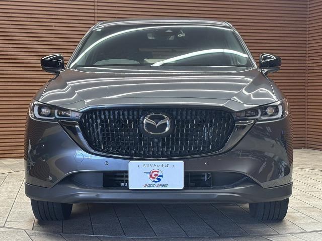 ＣＸ－８ ２５Ｓ　ブラックトーンエディション　全周囲カメラ　レーダークルーズコントロール　置くだけ充電　　シートヒーター　本革シート　電動パワシート　　電動テールゲート　ヘッドアップディスプレ　アイドリングストップ　３列シート　Ｂｌｕｅｔｏｏｔｈ（35枚目）