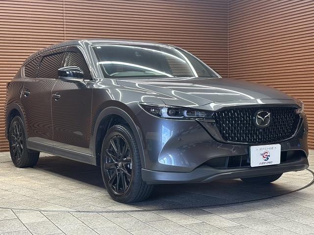 ＣＸ－８ ２５Ｓ　ブラックトーンエディション　全周囲カメラ　レーダークルーズコントロール　置くだけ充電　　シートヒーター　本革シート　電動パワシート　　電動テールゲート　ヘッドアップディスプレ　アイドリングストップ　３列シート　Ｂｌｕｅｔｏｏｔｈ（36枚目）