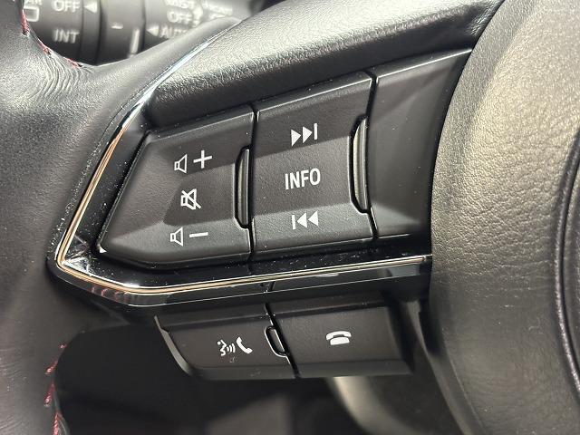 ＣＸ－８ ２５Ｓ　ブラックトーンエディション　全周囲カメラ　レーダークルーズコントロール　置くだけ充電　　シートヒーター　本革シート　電動パワシート　　電動テールゲート　ヘッドアップディスプレ　アイドリングストップ　３列シート　Ｂｌｕｅｔｏｏｔｈ（75枚目）