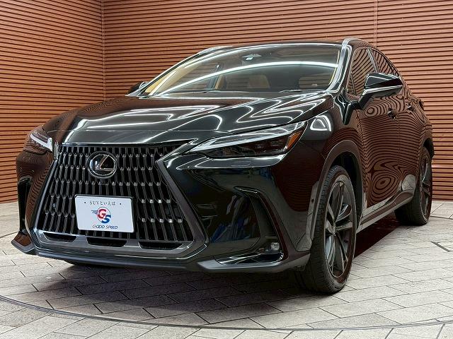 お問い合わせは０５６６−８１−４０９２まで。♪北海道、東北、関東、近畿、中国、九州地方のお客様にも販売ＯＫ☆☆