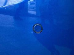 ڥꥢ󥹥ʡ۾㳲ʪȤܶΥ򲻤ǥץ쥤Ƿٹ𤷤ޤԴ֤ޤ 4