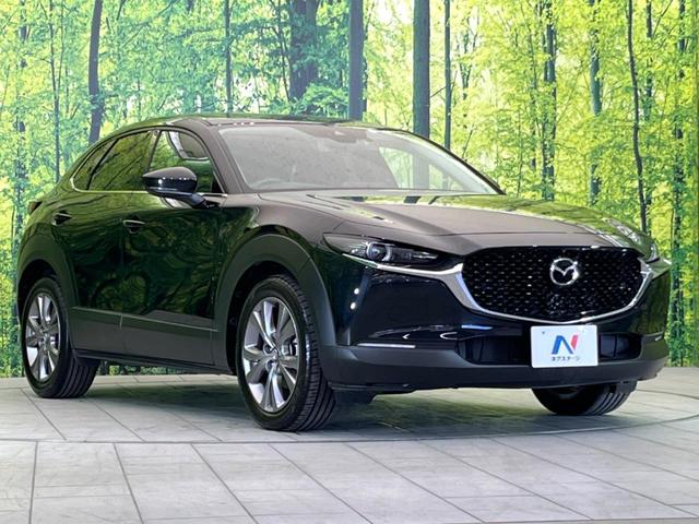 ＣＸ－３０ ２０Ｓ　プロアクティブ　ツーリングセレクション　マツダコネクトナビ　禁煙車　全周囲カメラ　アダプティブクルーズコントロール　Ｂｌｕｅｔｏｏｔｈ接続　ドライブレコーダー　ＥＴＣ　前席シートヒーター　パワーシート　ブラインドスポットモニター（16枚目）