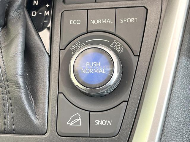 RAV4 アドベンチャー オフロードパッケージ 純正9型DA 4WD 禁煙車 パワーバックドア 前席シートエアコン パワーシート クルーズコントロール デュアルエアコン ルーフレール LEDヘッドライト クリアランスソナー ETC ドラレコ(60枚目)