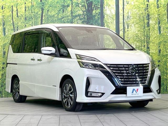 セレナ ハイウェイスターＶ　純正１０型ナビ　フリップダウンモニター　両側電動スライドドア　禁煙車　全周囲カメラ　プロパイロット　ＥＴＣ　ブラインドスポットモニター　ドライブレコーダー　Ｂｌｕｅｔｏｏｔｈ　デジタルインナーミラー（17枚目）