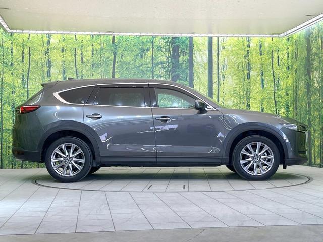 ＣＸ－８ ＸＤプロアクティブ　メーカー８．８型コネクトナビ　全周囲カメラ　禁煙車　衝突被害軽減　レーダークルーズ　ブラインドスポットモニター　クリアランスソナー　シートメモリ　ＨＵＤ　ドラレコ　ステリモ　シートヒーター　ＥＴＣ（25枚目）