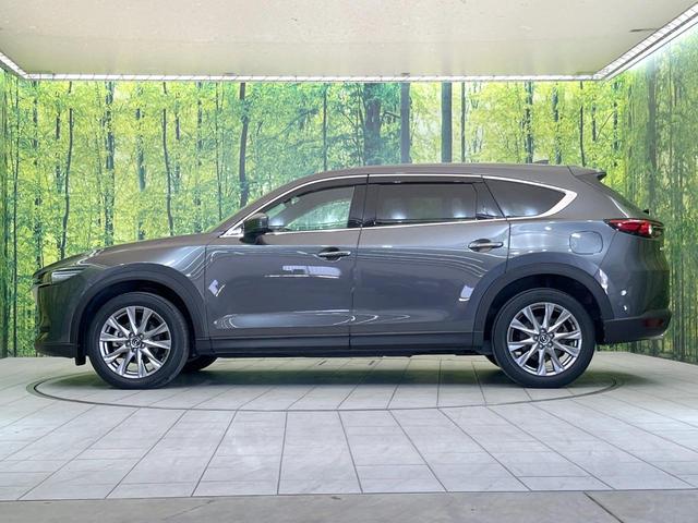 ＣＸ－８ ＸＤプロアクティブ　メーカー８．８型コネクトナビ　全周囲カメラ　禁煙車　衝突被害軽減　レーダークルーズ　ブラインドスポットモニター　クリアランスソナー　シートメモリ　ＨＵＤ　ドラレコ　ステリモ　シートヒーター　ＥＴＣ（26枚目）